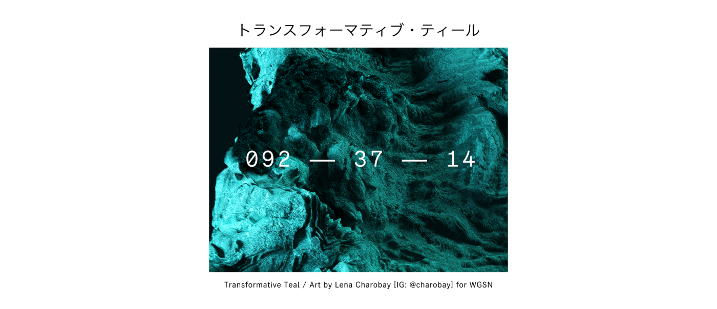 トランスフォーマティブ・ティール